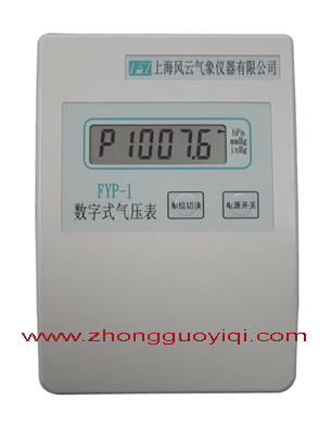 FYP-1(sh)ʽ≺